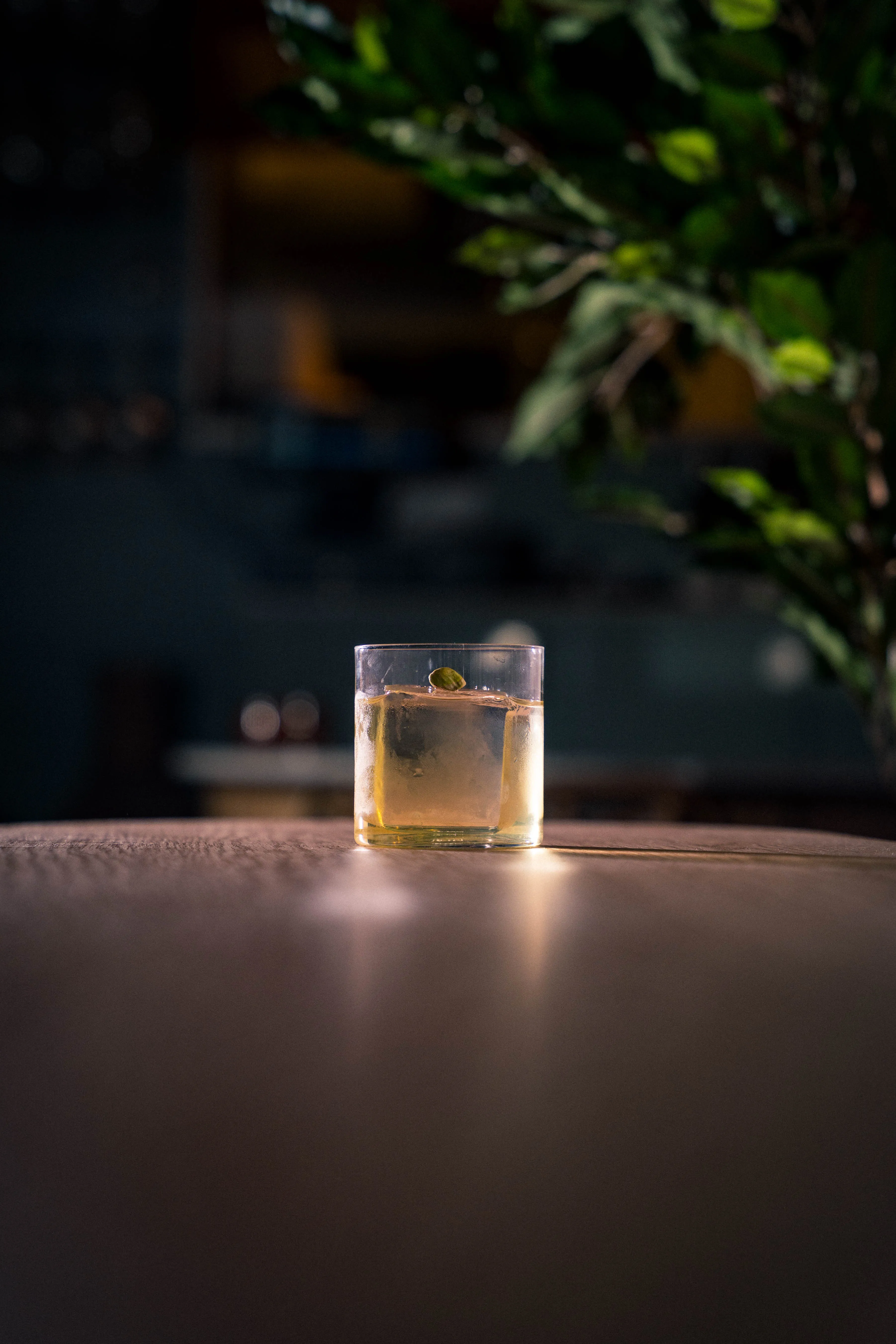 Drink i lavt glass på et bord i kveldslys, med grønne blader bak